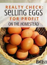 After you pay for feed, provide housing. How To Sell Your Eggs For Money Arxiusarquitectura