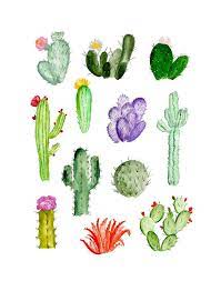 Have you ever wanted to learn how to paint loose watercolor flowers? Cacti Study Watercolor Art Watercolor Paintings Art