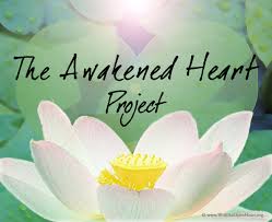 The Story Of The Lotus Flower With An Open Heart