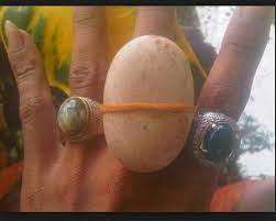 Bingung harus cari ke mana? Gambar Batu Cincin Lucu Bikin Ngakak Gambar Lucu Bikin Ngakak