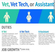 Each person is interested in finding out how much he/she will earn for the job he/she performs. Vet Assistant Right Here And Being Trained For More Just Waiting To Start Tech School Http Tmiky Com Pinteres Vet Tech School Vet Tech Student Vet Medicine