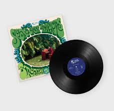 Brooklyn to Brooklin