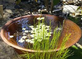 Landscaping For Sustainability Sustainable Gardening Australia