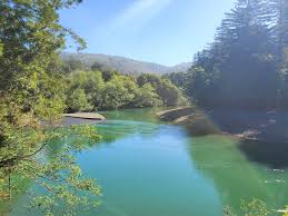 Click here to view some local. Gualala River Redwood Park