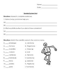 Instantly play online for free, no downloading needed! Bone Anatomy Quiz Anatomy Drawing Diagram