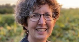 Space between buildings as important as structures to Pitt's new planner