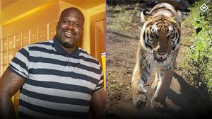 Cousins owns international basketball, and he's only 25 years old. Shaq Explains His Tiger King Cameo I Had No Idea Any Of That Stuff Was Going On Sporting News