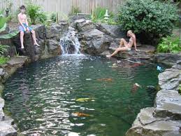The male will start following the female, swimming right. Pin By Brooke Crowder Fiore On Garden Natural Swimming Ponds Swimming Pond Swimming Pool Pond