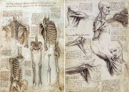 The muscarelle museum of art will be the only u.s. What S The Best Way To Learn Anatomy Drawing Academy Drawing Academy