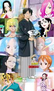 Luffy S Harem Manga Anime One Piece One Piece Series One Piece Crew