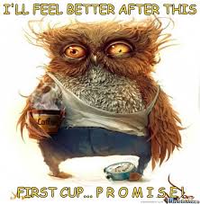 Promise Owl Animals Owl Wallpaper