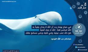 في صباح يومك ردد أن الله لا يخذل يقينا به الله لايكسر قلبا الله لا يترك أمنية ضع ذلك نصب عينيك وفي قلبك وعلى مسامع عقلك mustafahosny islam