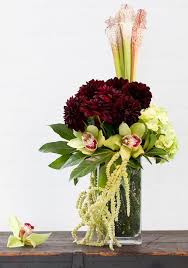 We would like to show you a description here but the site won't allow us. Saracena Sensation By Town And Country Floral Gallery
