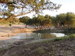 Generally, risk, return, and unobservable bank traits explain a larger share of the variation in foreign affiliate operations. Want Water Tips For Building A Pond