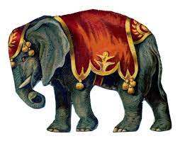 10 Elephant Images Elephant Images Circus Elephant Elephant Poster