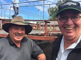 Stanthorpe weaner sale proves red hot