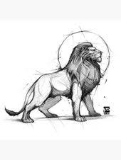 Proud Lion Sketch Canvas Print By Psdelux Redbubble Lion Sketch Lion Art Tattoo Lion Art
