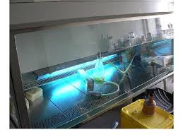 Thus, culturing is a process of growing cells artificially. Animal Cell Culture Lecture 1 Introduction By Saib