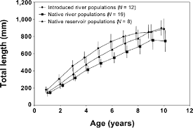 Pdf Age Growth And Mortality Of Introduced Flathead Catfish In Atlantic Rivers And A Review Of Other Populations Semantic Scholar