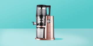 9 Best Juicers Reviews 2021 Top Rated Juice Machines