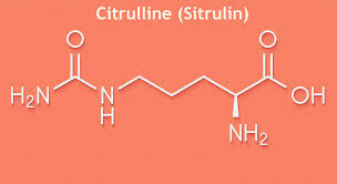 Citrulline (Sitrülin) Nedir ? | Bilimsel Supplement İncelemeleri : Kullanımı, Dozaj, Yan Etkileri