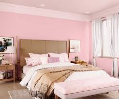 Maybe you would like to learn more about one of these? Try Rose Debut House Paint Colour Shades For Walls Asian Paints