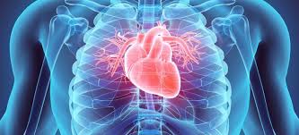 BENEFICIOS CARDIOVASCULARES