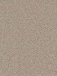 Cape cod kayaking has been a popular way to explore the vast natural beauty of the cape! Dream Weaver Carpet Cape Cod 945 Ash