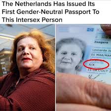 35 by 45 mm (width x height). The Female Lead On Twitter In 2018 The Netherlands Issued The First Ever Gender Neutral Passport To 57 Year Old Leonne Zeegers Who Identifies As Intersex And As Such Has Been Given A Passport