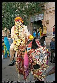 Flower Covered Groom Riding On Horse Jodhpur Rajasthan India Indian Wedding Pictures Indian Wedding Indian Textiles