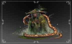 Image result for Hakea