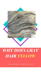 The white tint of the serum helps to balance out any yellow tones. Why Does Gray Hair Turn Yellow Naturally Graysful