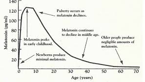 biology write up biology articles mystery of biology 3