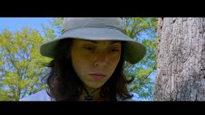 my collection of work — Alex Sokolik