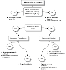 Metabolic Acidosis A Quick Reference Veterinary Clinics Small Animal Practice