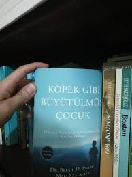 Yasemin Cagatay Aydin Adli Kullanicinin Okunmasi Gerekenler Panosundaki Pin