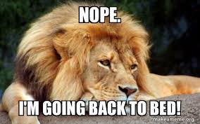 Nope I M Going Back To Bed Confession Lion Make A Meme