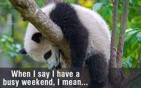 We did not find results for: Funny But True Weekend Quotes That Will Make You Lol So Hard Quotabulary