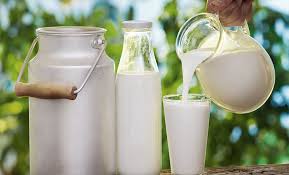 The holstein milk company sdn bhd, which produces milk under the farm fresh brand, has invested 85 million malaysian ringgit ($21 million) to acquire a dairy farm and a plant in melbourne, australia. Malaysia S Holstein Milk To Invest In Australian Dairy Farm