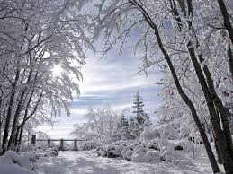 More control with the paysage payment solutions for any of your company's business needs. Paysages Enneiges Photo Hiver Paysage Hiver Scene D Hiver