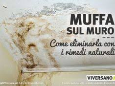 Come Eliminare La Muffa Dai Muri Ecco I Migliori Rimedi Per La Muffa Nel 2020 Rimedi Pulizia Della Casa Pulizie Di Casa Rimedi