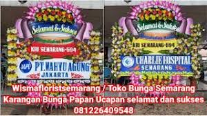 We did not find results for: Toko Bunga Semarang Wisma Florist Semarang Semarang Selatan Kota Semarang Tokopedia