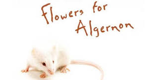 Sign up now & start reading! 14 Flowers For Algernon By Daniel Keyes 6 Steps To Make The Reader Cry The Novel Analyst Podcast By Jed Herne