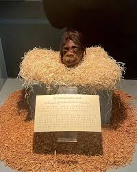 Image result for shrunken heads