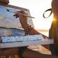 Plein Air Event: Gary Tucker Watercolor Workshop
