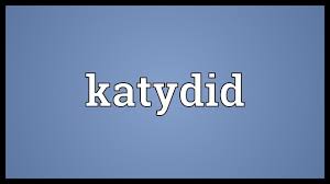 Insects can be divided into about thirty groups. Katydid Meaning Youtube