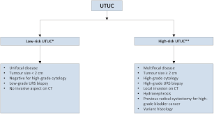 The highest exception rate in the population at a given aro computed upper exception rate (cuer) m a statistical, probabilistic method of sam view the full answer Upper Urinary Tract Urothelial Cell Carcinoma Uroweb