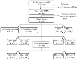 Outcomes Among North American Patients With Diffuse Large B