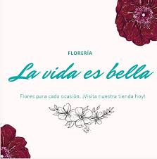 Floristería La Vida es Bella. Gijón.