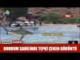 Show Ana Haber 2020 Haberleri Youtube 2020 Sahil Youtube Haber